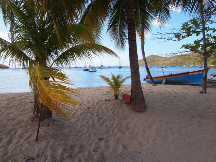 Photo d'une plage martiniquaise